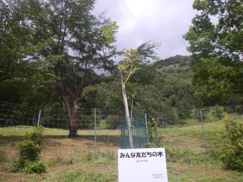 Dscn9835