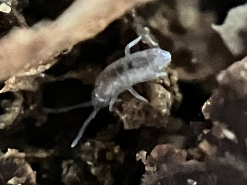 Photo_2 Photo_2