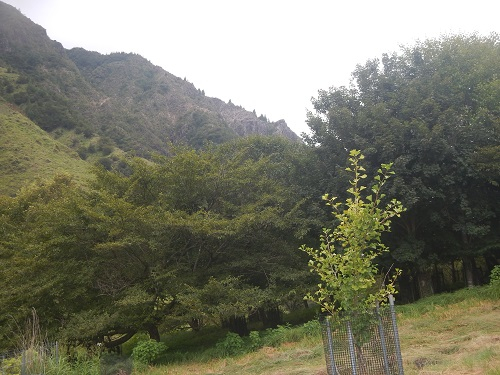 Dscn9872