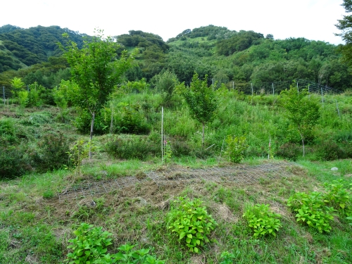 Dsc05160