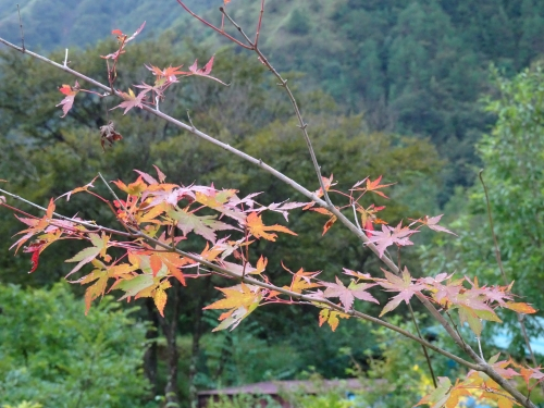 Dsc05387 Dsc05387