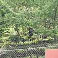 Imgp0071