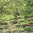 Imgp0072_2