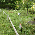 Imgp0097