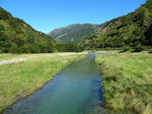 Dsc05575