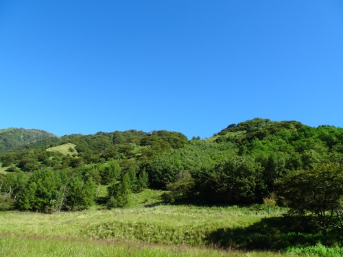 Dsc05585