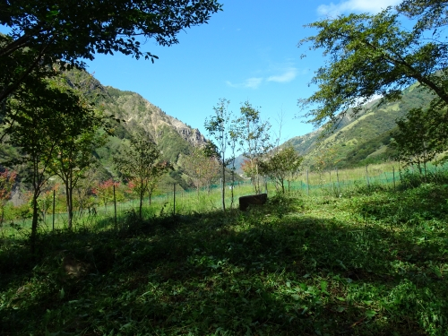 Dsc05619