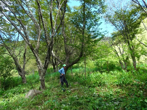 Dsc05622