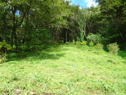 Dsc05645