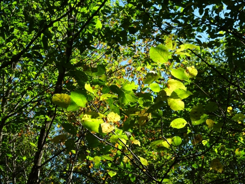 Dsc06308_2 Dsc06308_2