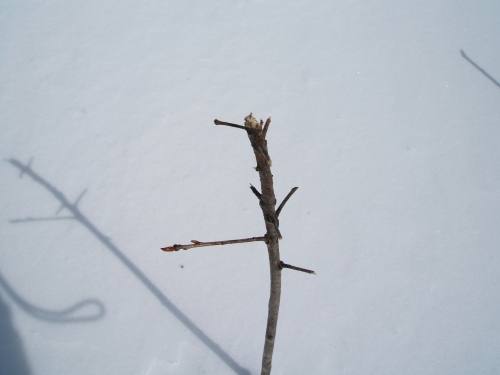 20051228