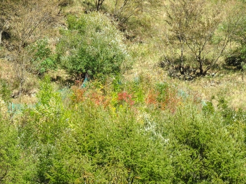 Dsc06683