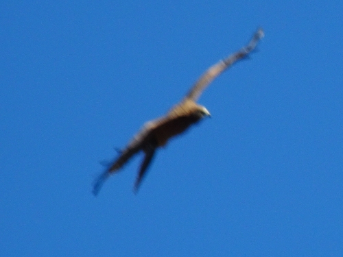 Dsc06699